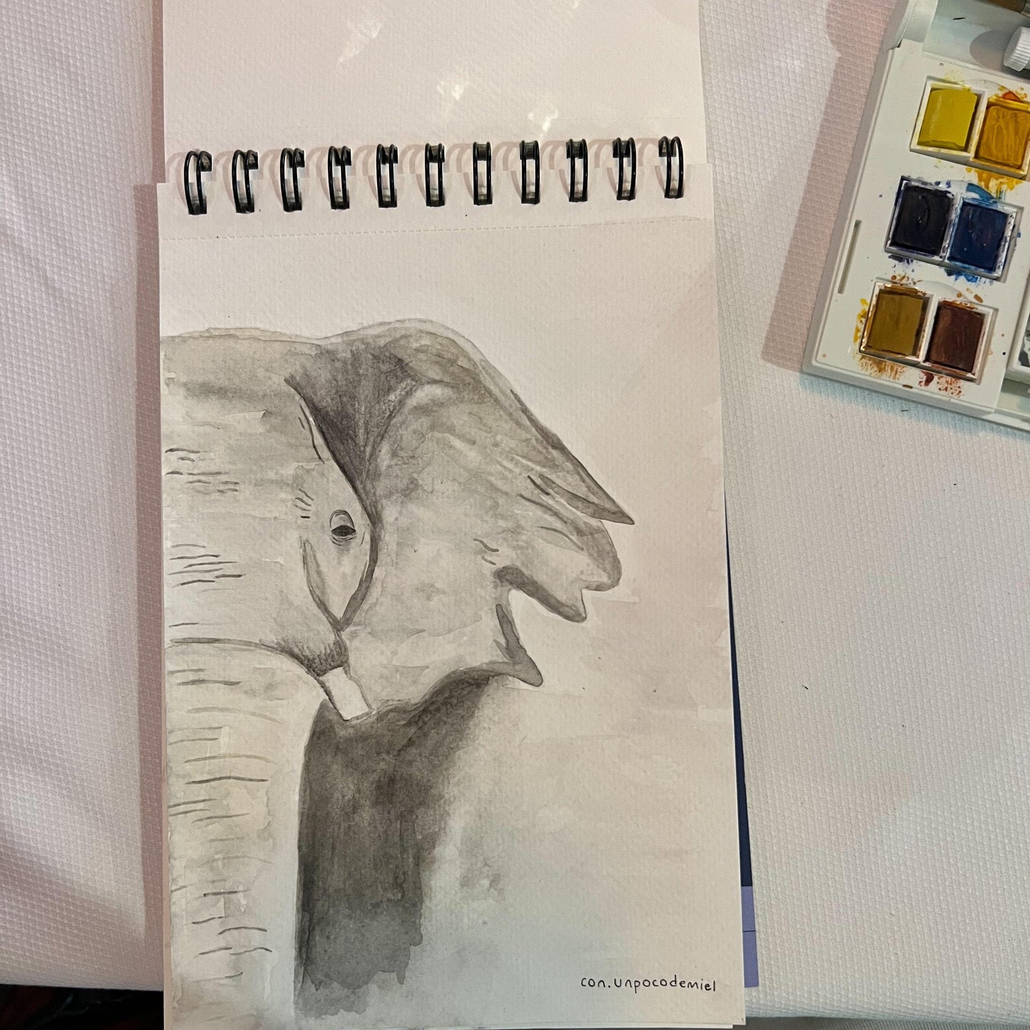Elefante - Acuarela | con un poco de miel