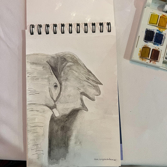 Elefante - Acuarela | con un poco de miel