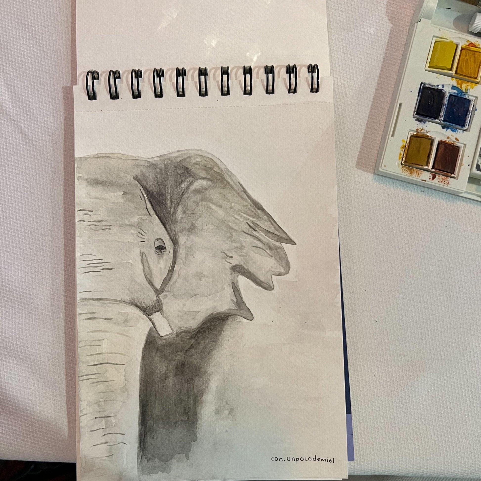 Elefante - Acuarela | con un poco de miel